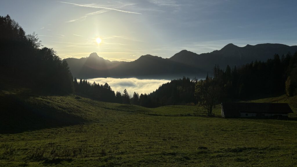 Nebel am Taubensee